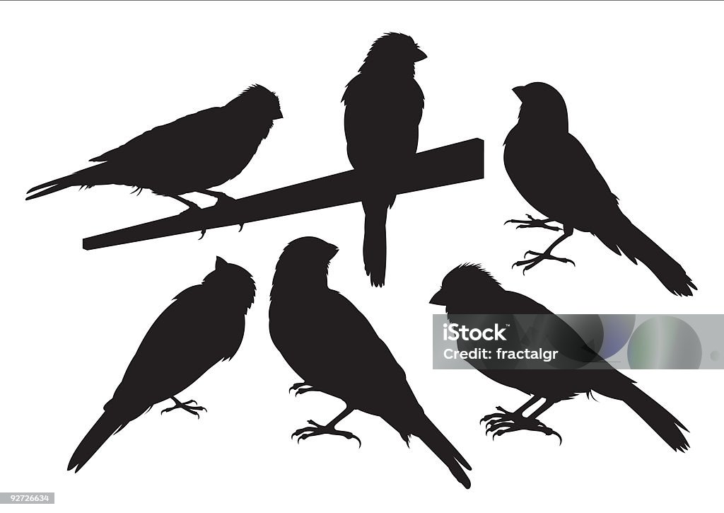 Kanarische Vogel Silhouetten - Lizenzfrei Kanarienvogel Vektorgrafik