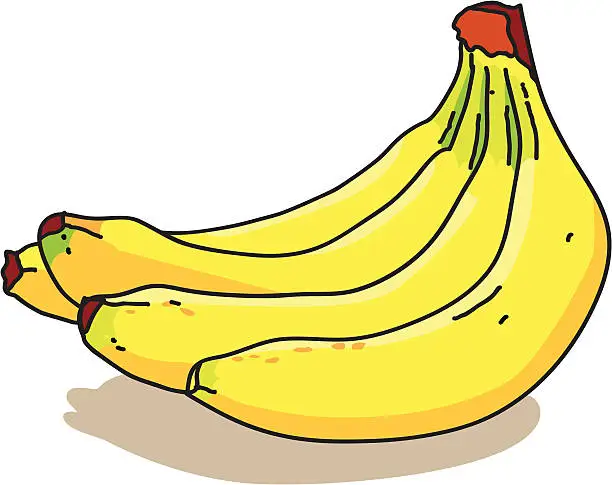 Vector illustration of Bananas