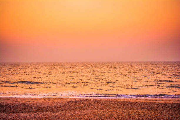 Beach and tropical sea- India