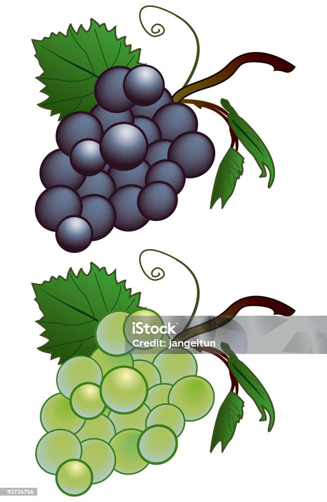 Uvas - arte vectorial de Valle de Napa libre de derechos