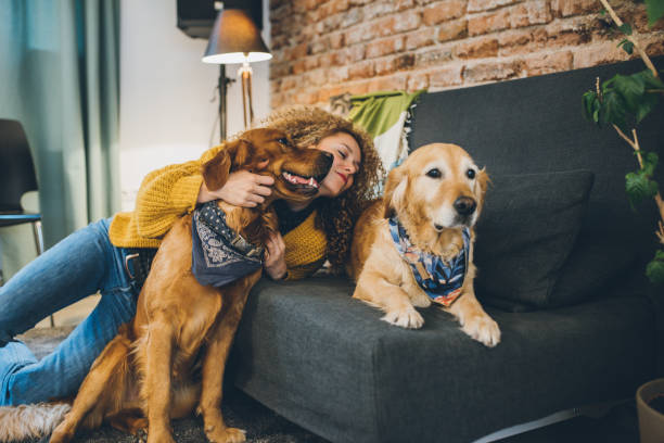 istock Woman playing with her dogs 927269118