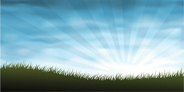 Grass panorama vector art illustration