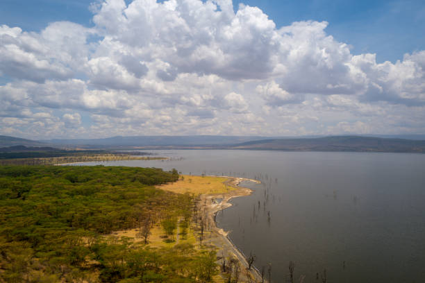 istock Lake Nakuru kenya 927271342