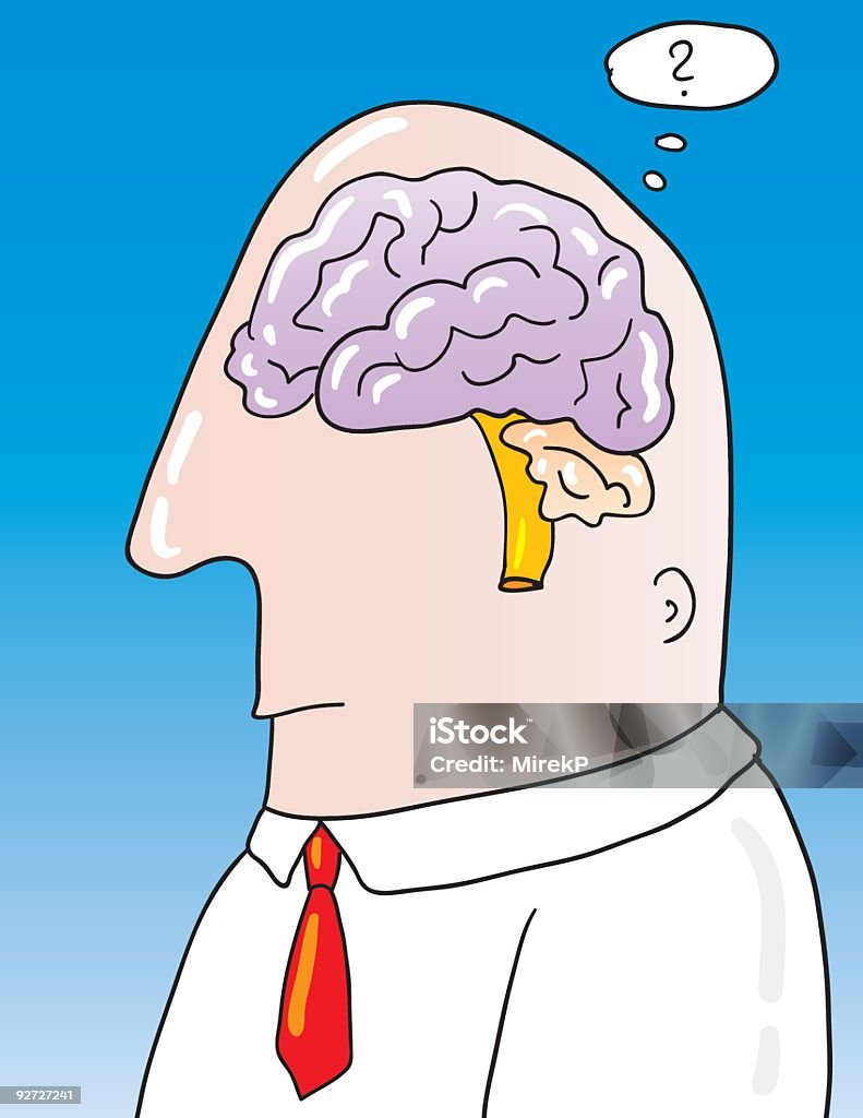 big mózgu - Grafika wektorowa royalty-free (Anatomia człowieka)