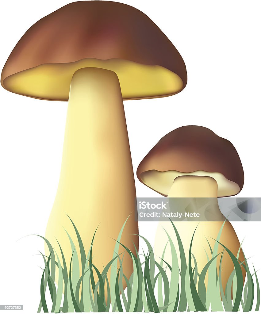 fungi - Lizenzfrei Farbbild Vektorgrafik