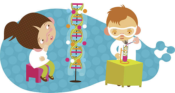 ilustrações de stock, clip art, desenhos animados e ícones de crianças, conjunto de química - dna helix helix model symmetry