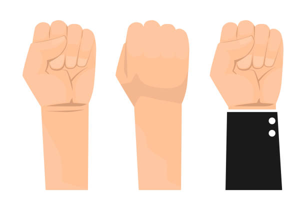 close up of hand gesturing. Business Hand fist vector illustration. Use for advertising and presentation. vector art illustration