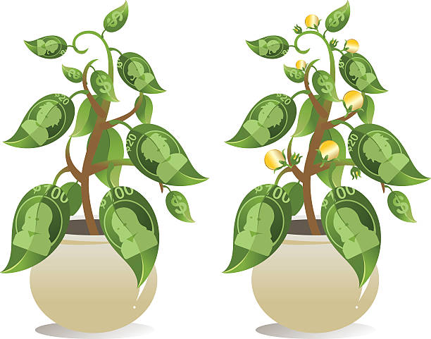 illustrazioni stock, clip art, cartoni animati e icone di tendenza di albero di soldi - twenty dollar bill illustrations