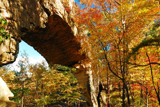 istock Autumn and a Natural Bridge 927277030