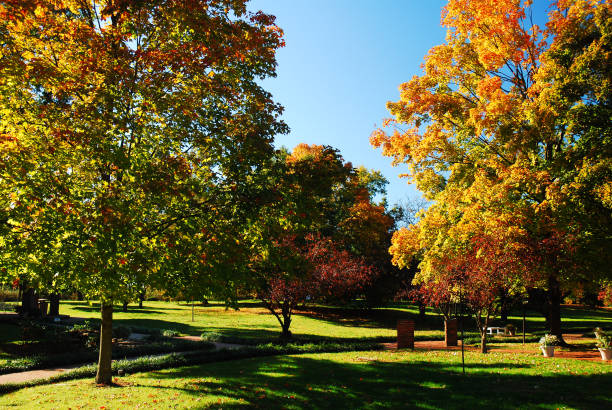 istock Autumn in the Arboretum 927277044