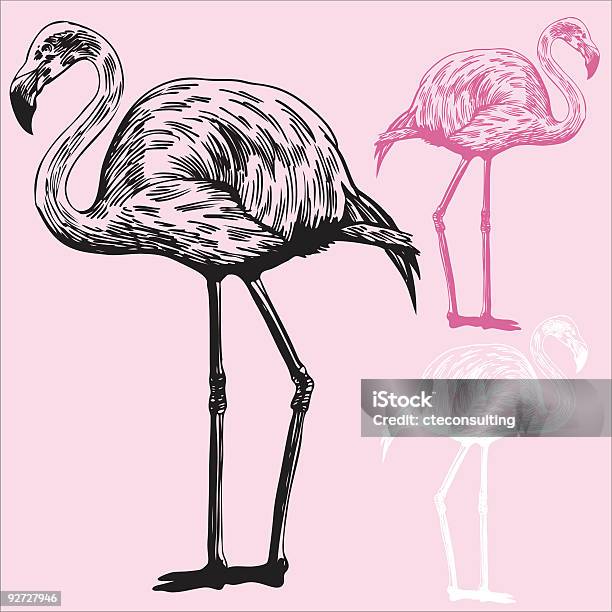 Flamingo - Stockowe grafiki wektorowe i więcej obrazów Czarno biały - Czarno biały, Flaming, Bez ludzi