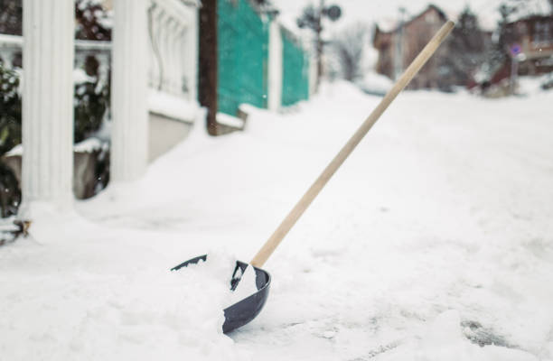 Shovel in the snow