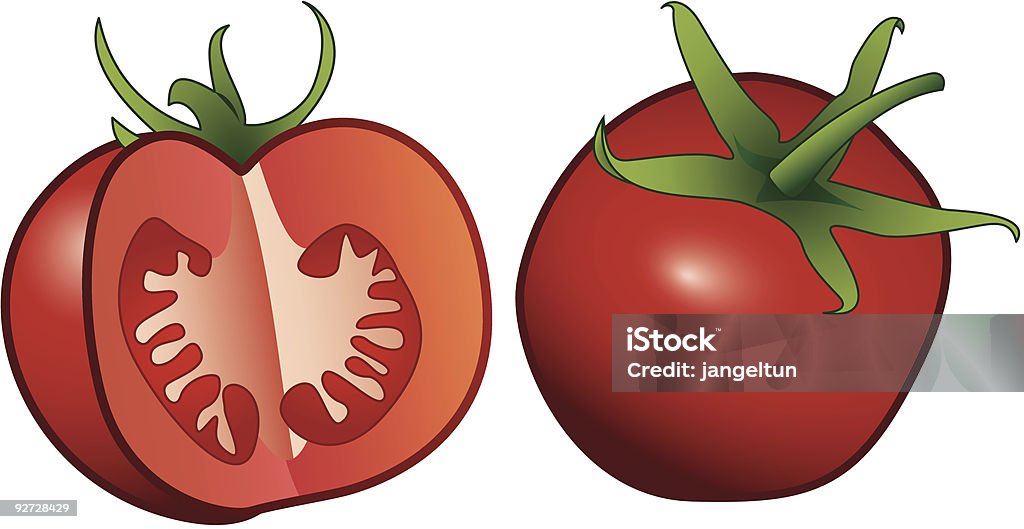 Tomato  Chopped Food stock vector