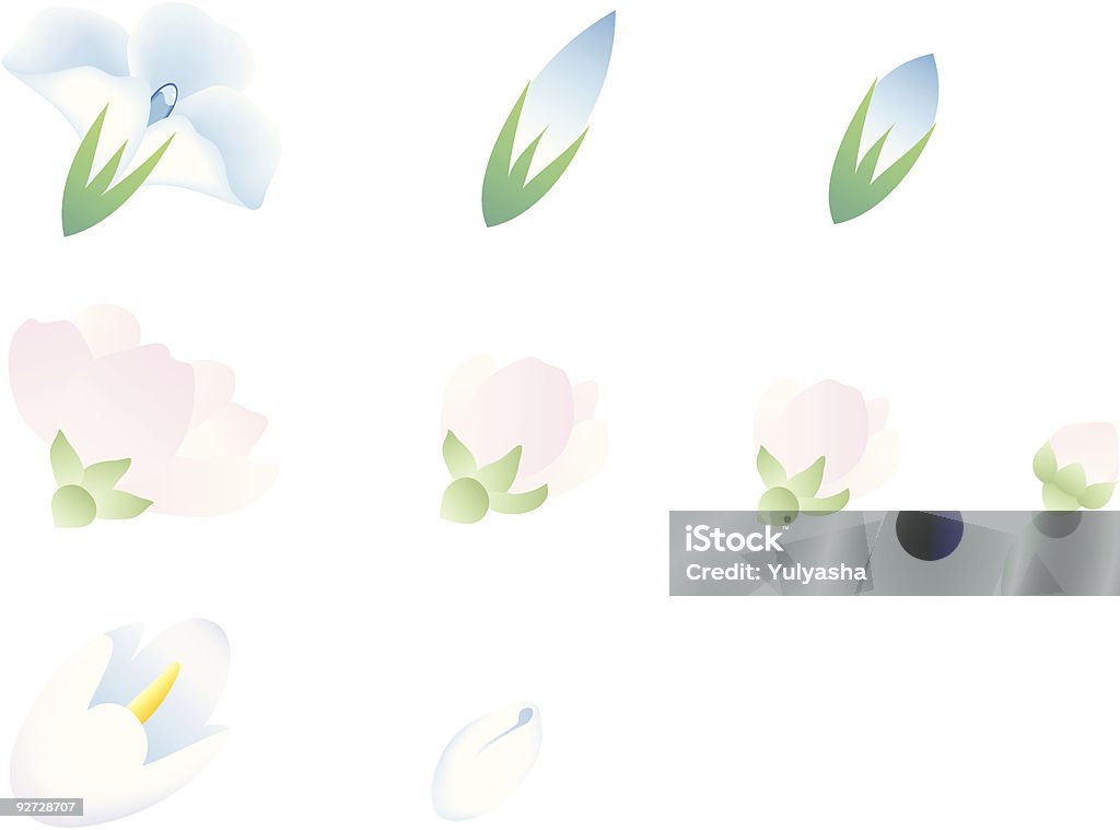 花の芽 - アリウムのロイヤリティフリーベクトルアート
