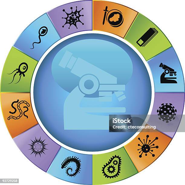 Ilustración de Rueda De Microscópicos y más Vectores Libres de Derechos de Bacteria - Bacteria, Biología, Color - Tipo de imagen