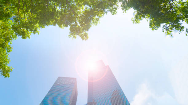 istock perspective exterior pattern blue glass wall modern buildings with green tree leaves 927293146