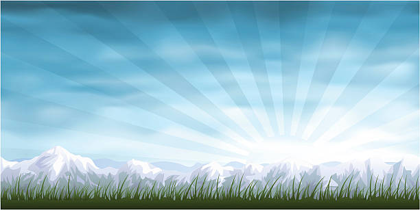 Grassy alpine landscape vector art illustration