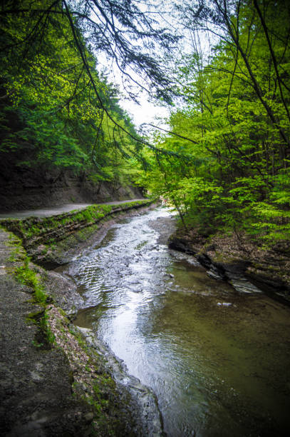 istock The river of letchworth state park 927295954