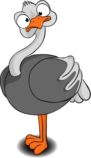 Vector illustration of ostrich