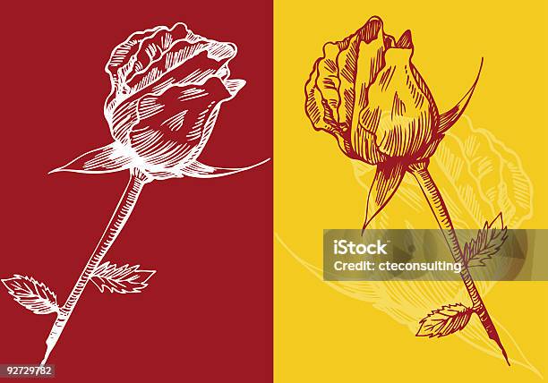 Rosebud Stock Illustration - Download Image Now - Backgrounds, Bud, Color Image