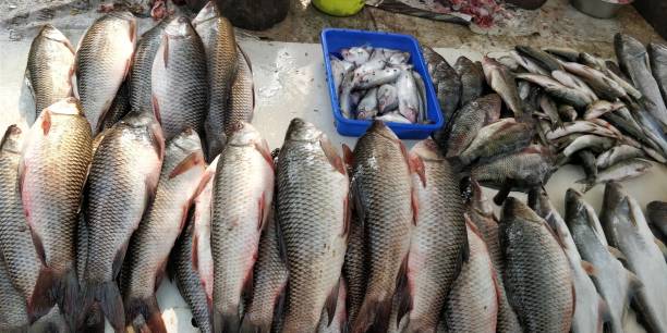 istock Seafood background food 927299990