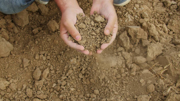 primo stato delle mani dell'agricoltore che tiene il terreno essiccato - nature rain crop europe foto e immagini stock