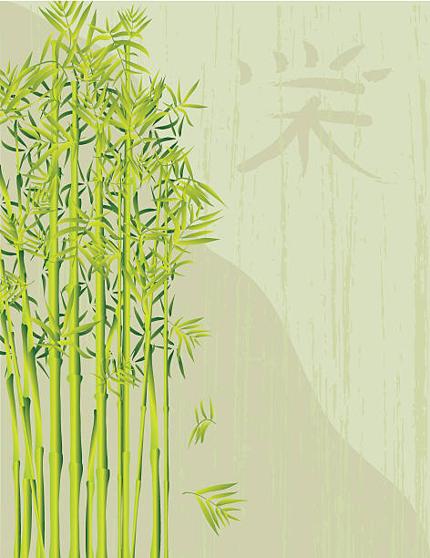 Fundo de Bambu Japonês - ilustração de arte em vetor