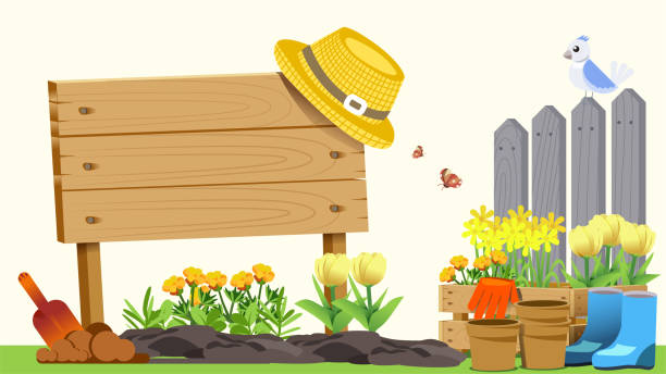 ilustraciones, imágenes clip art, dibujos animados e iconos de stock de el principio de la jardinería básica. elemento de resorte. estilo lindo concepto. primeros pasos en la creación de cosas buenas. - beginning of life