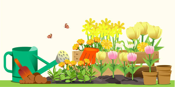 kleiner garten im hinterhof. hallo frühling. niedliche konzept stil. - flower sketch yard front or back yard stock-grafiken, -clipart, -cartoons und -symbole