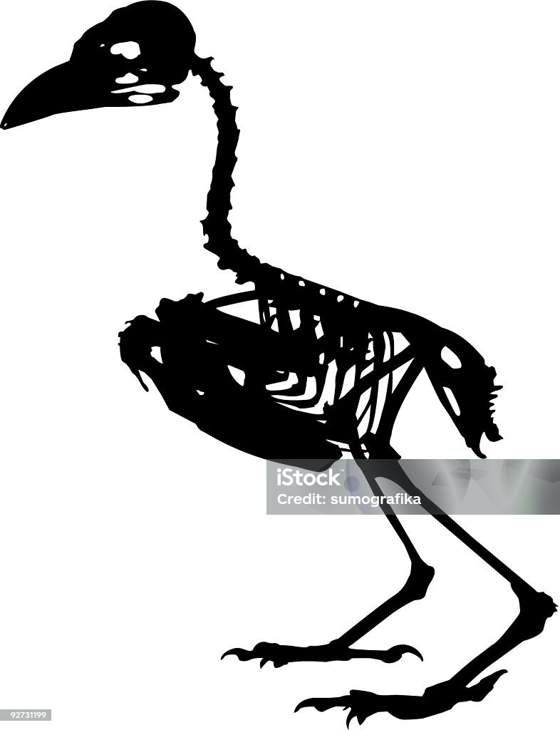 Oiseau Squelette de - clipart vectoriel de Oiseau libre de droits