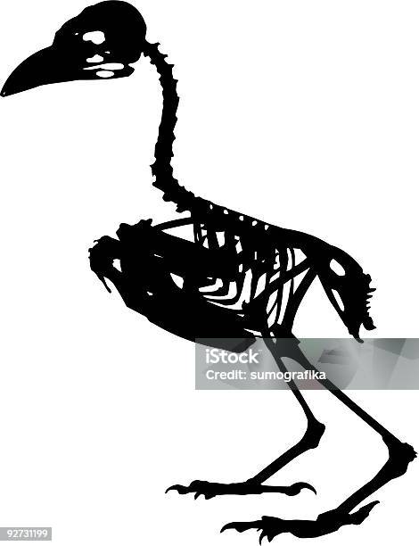 Vetores de Esqueleto De Pássaros e mais imagens de Esqueleto Animal - Esqueleto Animal, Pássaro, Vector