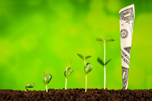 istock business investment:plant growing on green background 927312972