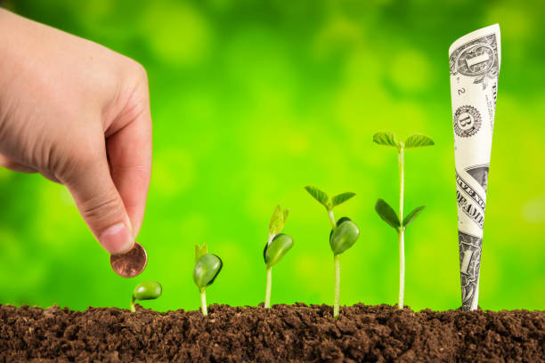 istock business investment:plant growing on green background 927313114