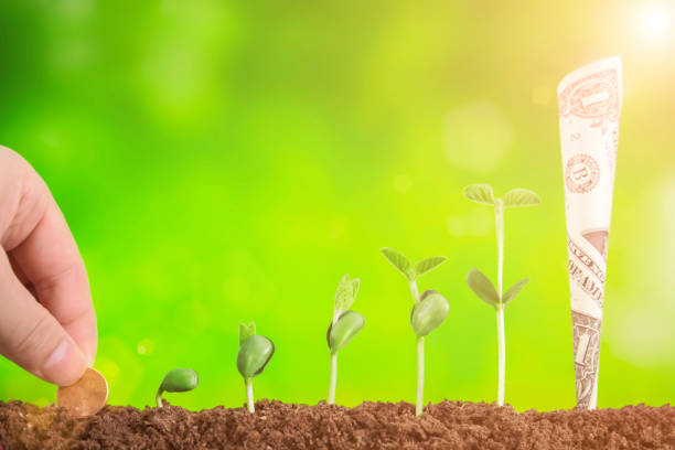 istock business investment:plant growing on green background 927313200