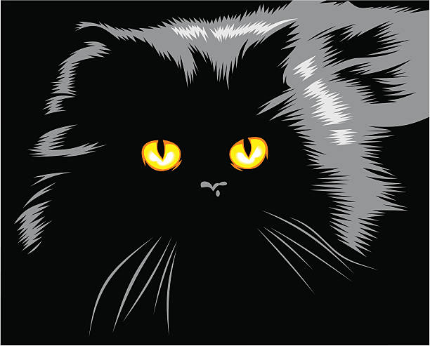 cat vector art illustration