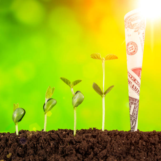 istock business growth:plant growing in soil on green background 927315648