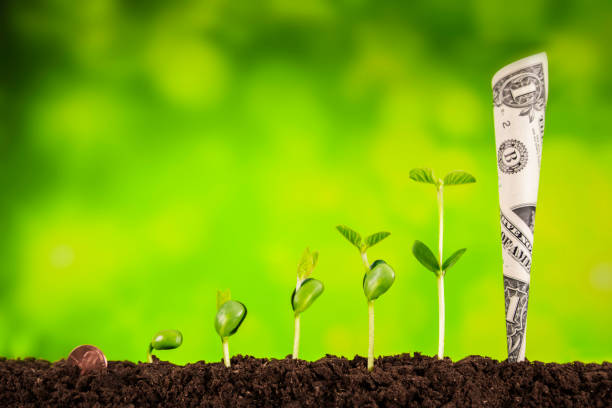 business investment:plant growing on green background
