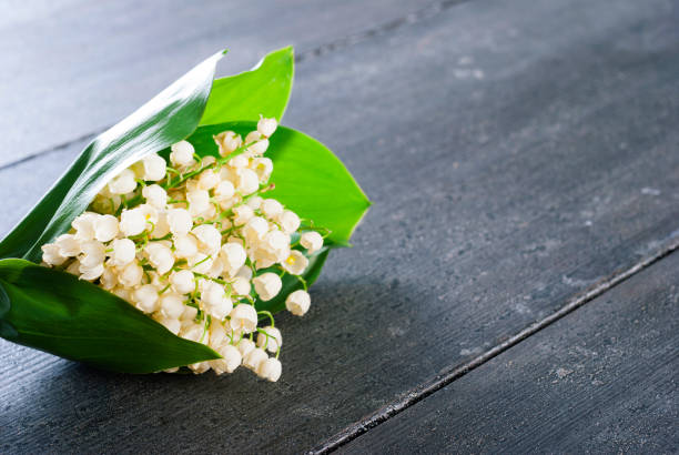 istock Lily of the valley 927316170