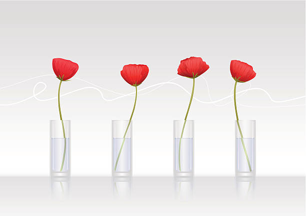 Four red poppy-flowers in glass vases vector art illustration