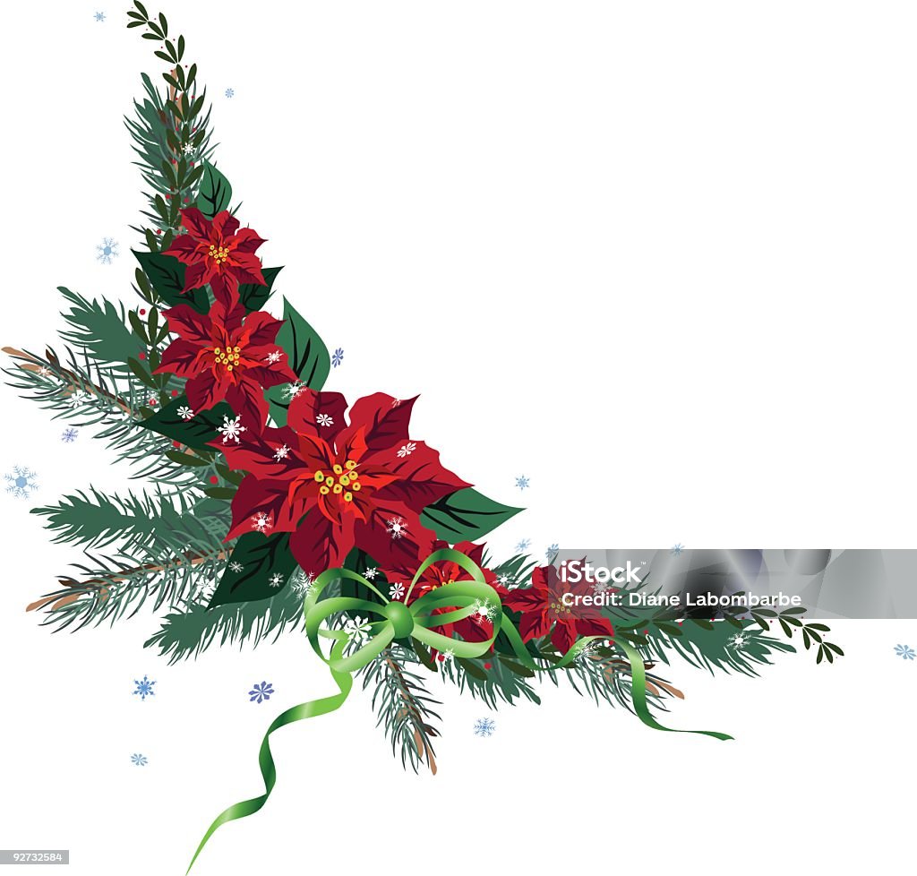 Stella di Natale fiori rossi sui rami sempreverde angolo elemento - arte vettoriale royalty-free di Angolo - Forma