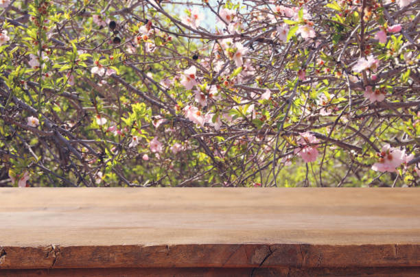 istock wooden rustic table in front of spring cherry blossoms tree. product display and picnic concept. 927328176