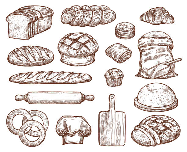 illustrations, cliparts, dessins animés et icônes de boulangerie avec beaucoup de pain frais types. - bagel bread isolated baked