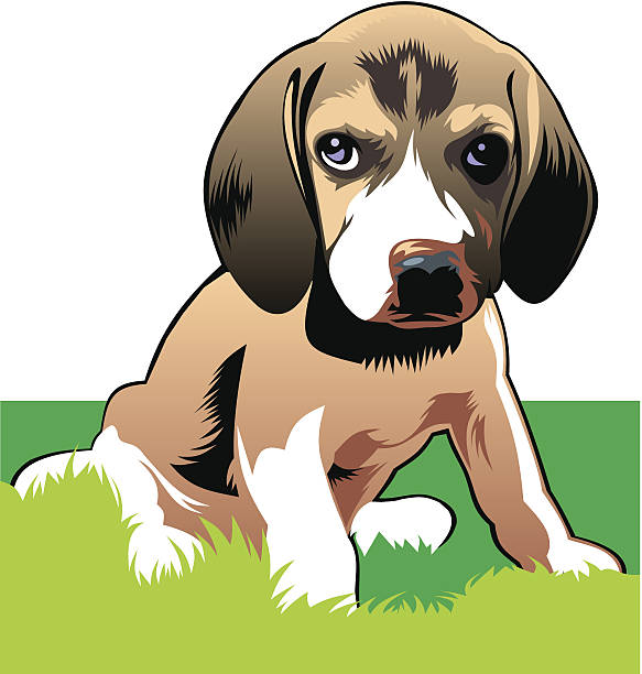 nice dog vector art illustration