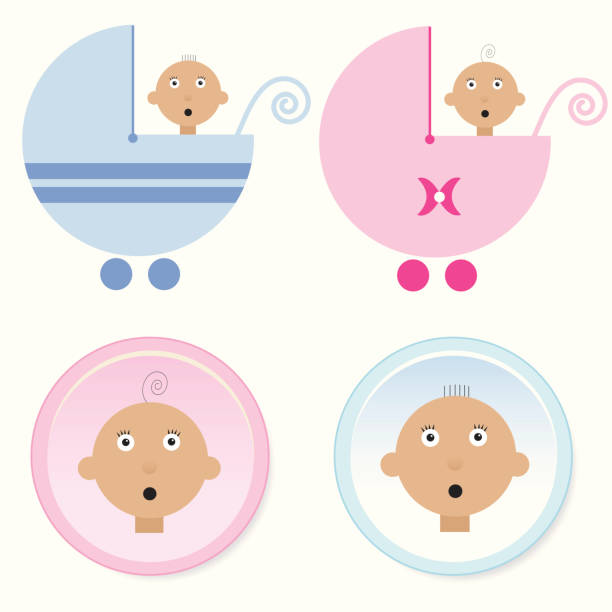 Babies in Pram vector art illustration