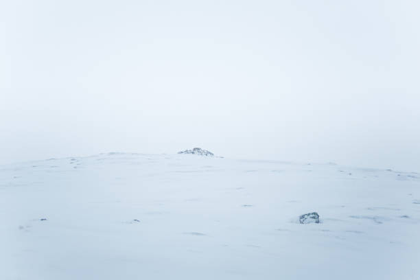 istock A beautiful minimalist landscape in heavy snowfall. 927337164