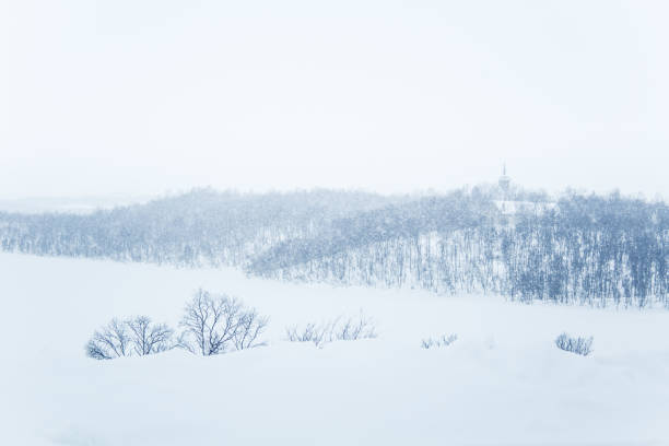 istock A beautiful minimalist landscape in heavy snowfall. 927337214