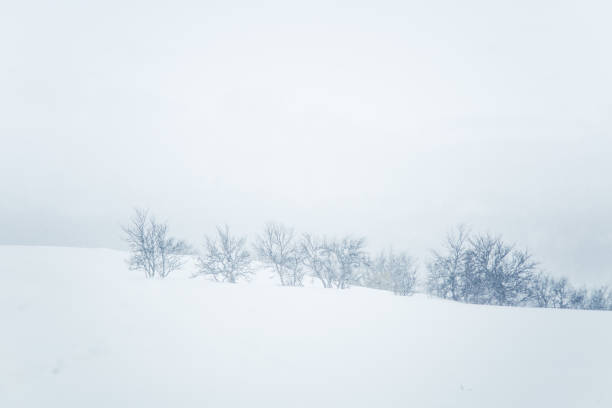 istock A beautiful minimalist landscape in heavy snowfall. 927337218