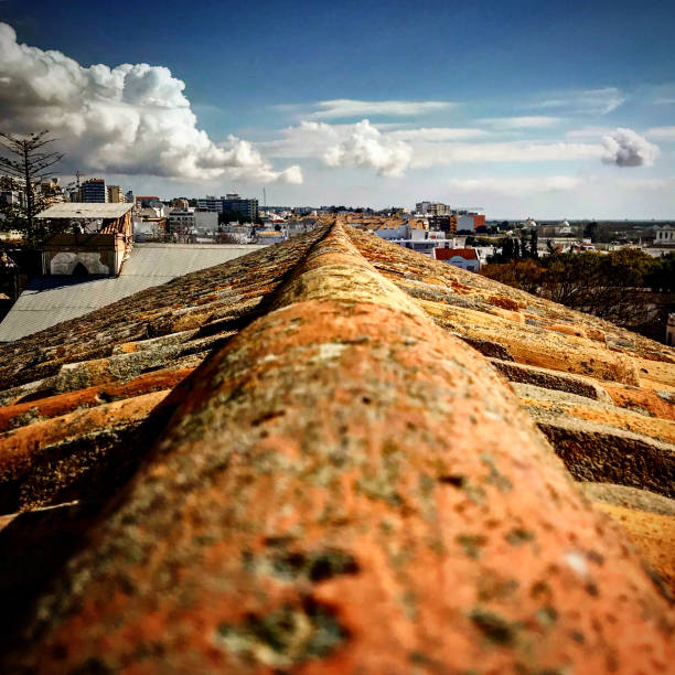 Terracotta old roof with views