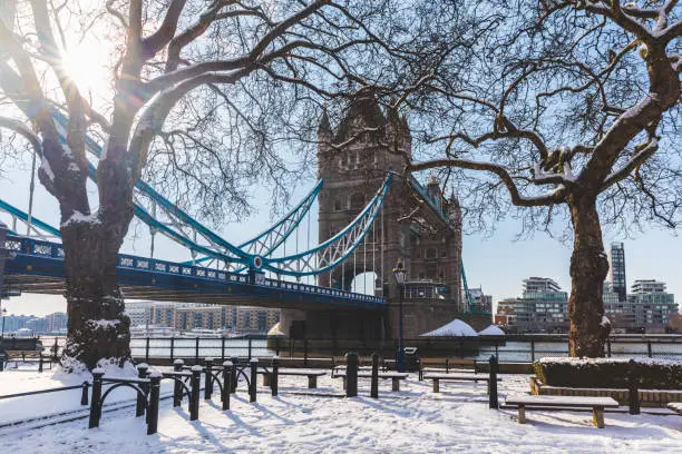 Photo of Tower bridge and trees in London with snow