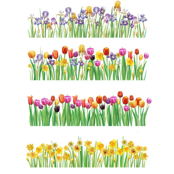 Vector illustration of Set of Borders with multicolor spring flowers